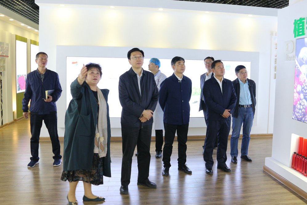 2020年11月2日省政府食安辦副主任，省市場監(jiān)督管理局副局長王建防到公司調(diào)研指導(dǎo)工作.JPG